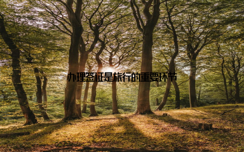 办理签证是旅行的重要环节