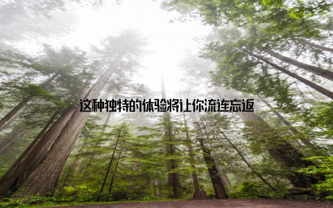 这种独特的体验将让你流连忘返