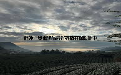 此外, 贵重物品最好存放在保险柜中