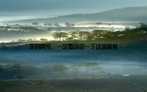 来到南京, 一定要品尝一下这道美食