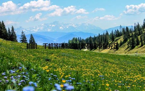 相机、手机等摄影器材要确保电量充足