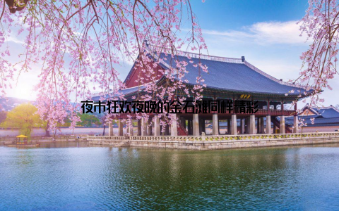 夜市狂欢夜晚的金石滩同样精彩