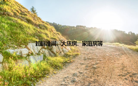 如标准间、大床房、家庭房等