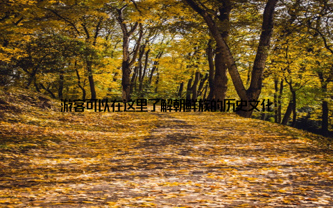 游客可以在这里了解朝鲜族的历史文化