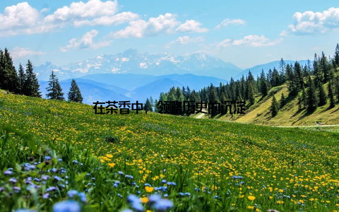 在茶香中, 领略历史的沉淀