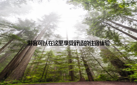 游客可以在这里享受舒适的住宿体验
