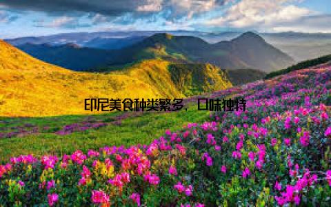 印尼美食种类繁多, 口味独特