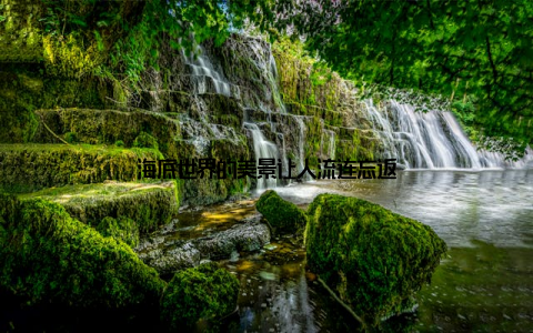 海底世界的美景让人流连忘返