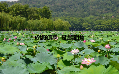 成都的夏季, 是避暑胜地