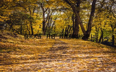 快来大连, 开启一段难忘的旅行吧!