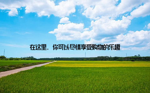 在这里, 你可以尽情享受购物的乐趣