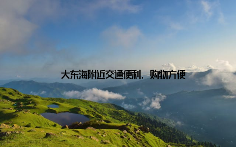 – 大东海附近交通便利, 购物方便