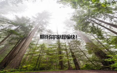 期待你的旅程愉快!