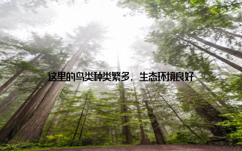 这里的鸟类种类繁多, 生态环境良好