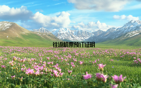 – 往返机票预订证明