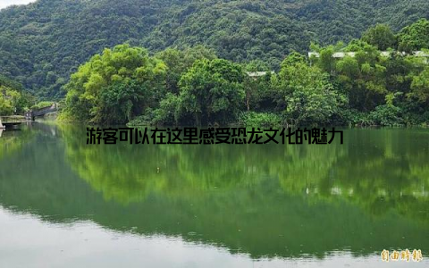 游客可以在这里感受恐龙文化的魅力