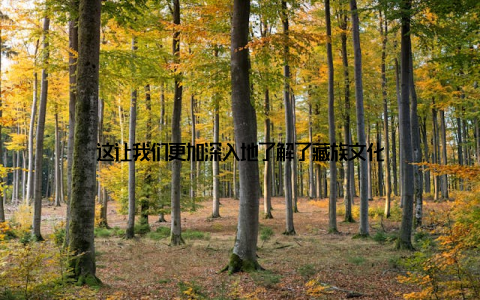 这让我们更加深入地了解了藏族文化