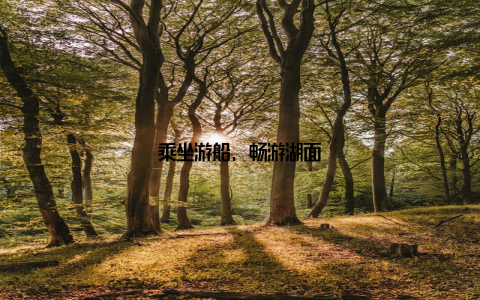 乘坐游船, 畅游湖面