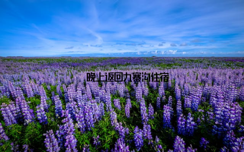 – 晚上返回九寨沟住宿