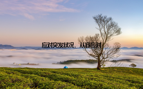 应对突发状况, 从容应对