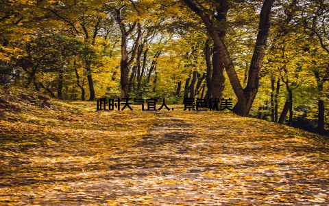 此时天气宜人, 景色优美