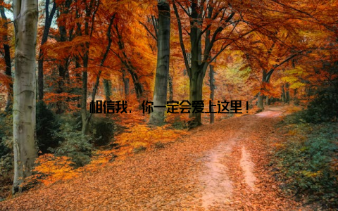 相信我, 你一定会爱上这里!