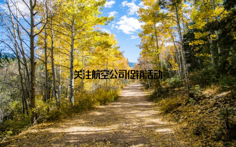 关注航空公司促销活动