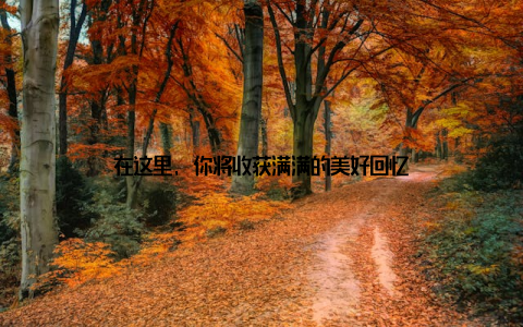 在这里, 你将收获满满的美好回忆
