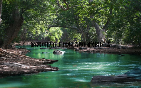 游客可以在此体验浓厚的民俗风情