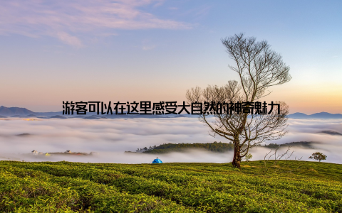 游客可以在这里感受大自然的神奇魅力