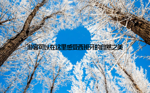 游客可以在这里感受西班牙的自然之美