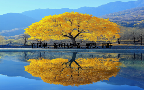 在这里, 你可以尽情、感受、品味