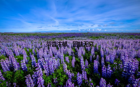 茶香浓郁, 回味无穷