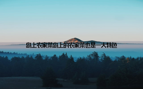 岛上农家菜岛上的农家菜也是一大特色