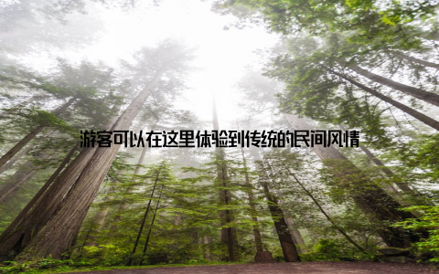 游客可以在这里体验到传统的民间风情