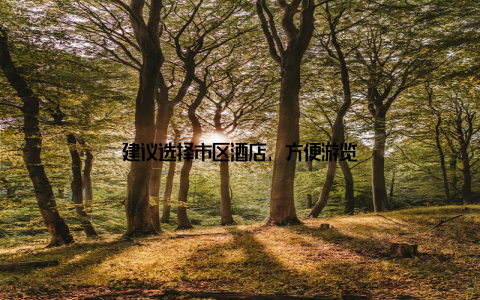 建议选择市区酒店, 方便游览