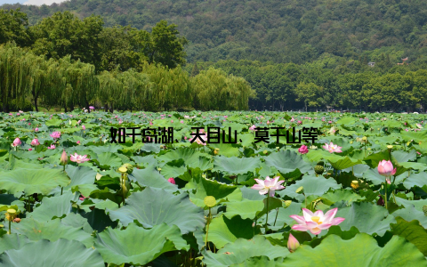 如千岛湖、天目山、莫干山等