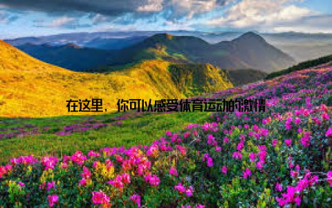 在这里, 你可以感受体育运动的激情