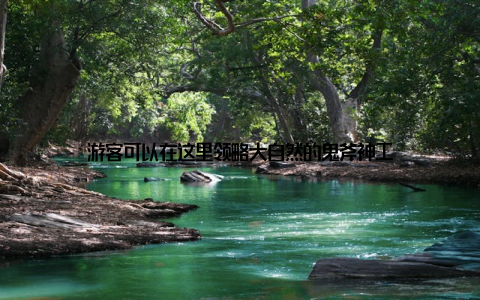 游客可以在这里领略大自然的鬼斧神工