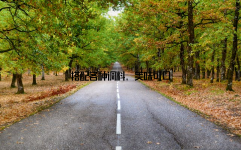 搭配各种调料, 美味可口