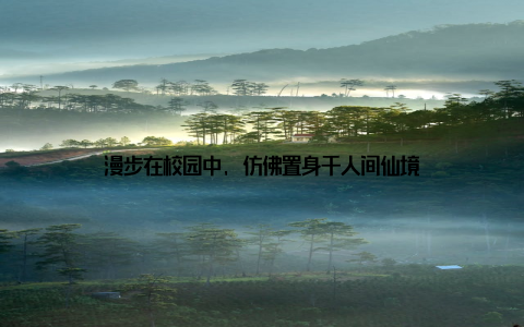 漫步在校园中, 仿佛置身于人间仙境