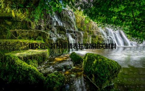 提交后, 打印申请表并准备相关材料