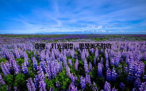 夜晚, 灯光璀璨, 更是美不胜收