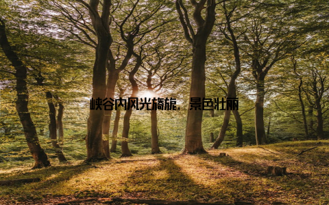 峡谷内风光旖旎, 景色壮丽