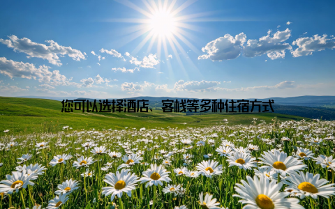 您可以选择酒店、客栈等多种住宿方式