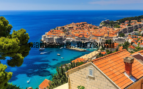 我沿着蜿蜒的小路, 穿越了这片森林