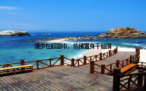 漫步在校园中, 仿佛置身于仙境