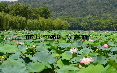 在这里, 你将收获一段难忘的旅程