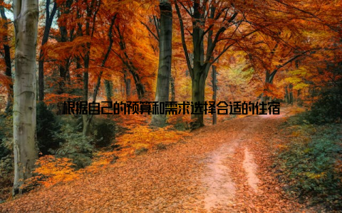 根据自己的预算和需求选择合适的住宿