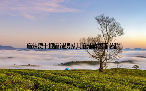 麻辣烫十堰麻辣烫以其麻辣鲜香而著称